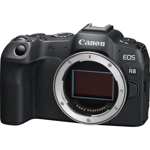best camera for wedding videography Canon EOS R8