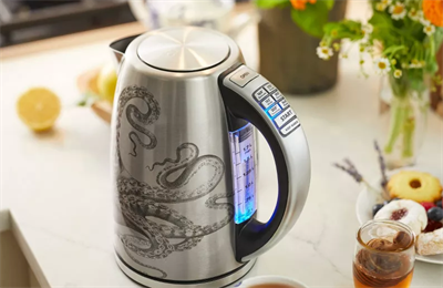 birthday gifts for brothers electric kettle with temperature control