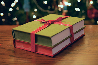 christmas gift for brother books