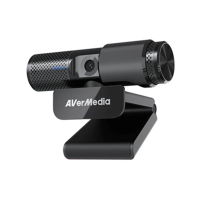 budget webcam for streaming avermedia live streamer cam 313