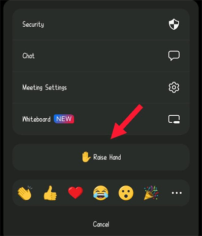 how to raise hand in zoom (2)