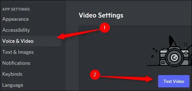 voice & video in discord