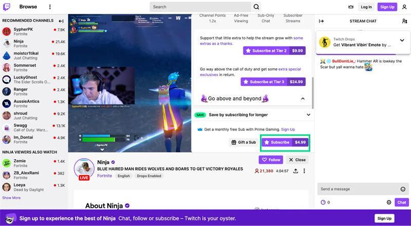 make money on twitch (2)