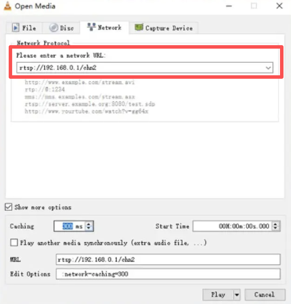 paste rtsp url